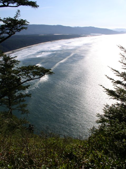 Cape Lookout 013 